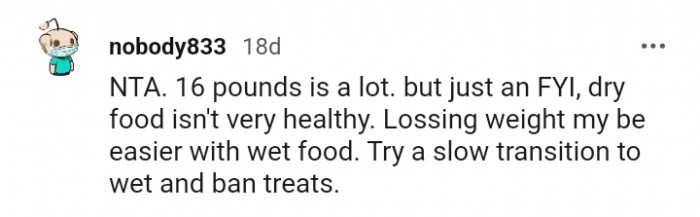 Losing weight may be easier with wet food