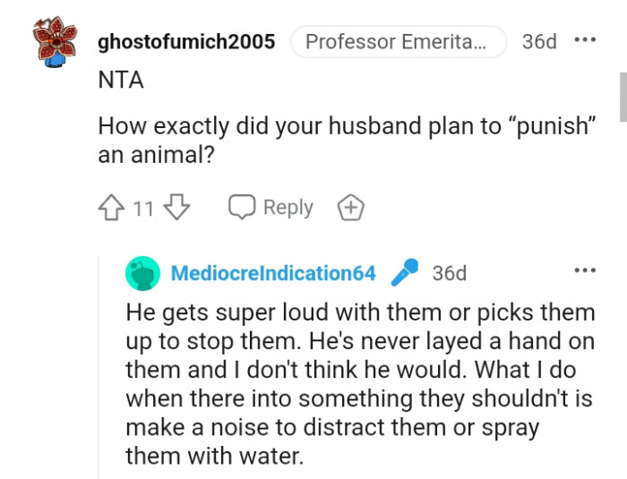 The OP's husband has never laid a hand on the cats