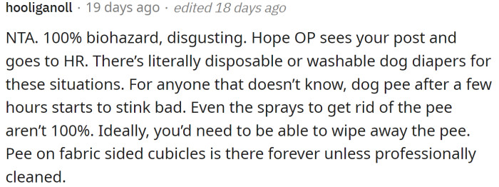 Dog pee smells bad, and it is difficult to get rid of the smell.