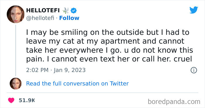 Stylish cat outfit or accessory, caption continues fashion, behold, and cleaner