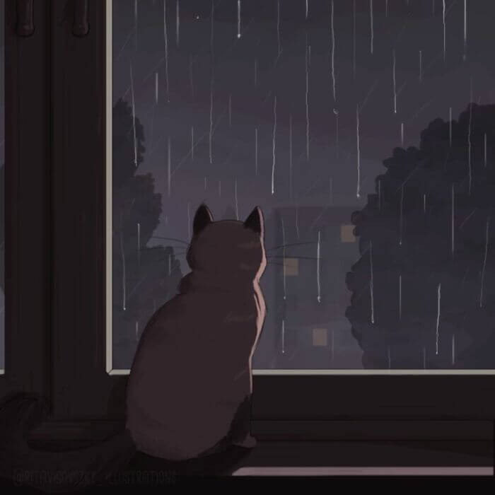 16. Come home, I can’t sleep without you!