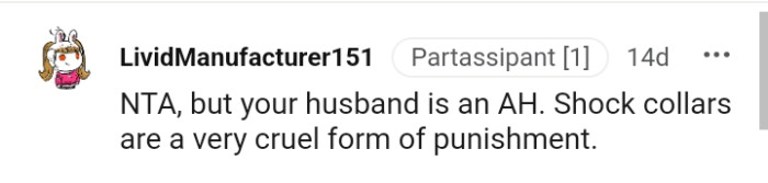 Shock Collars Are a Poor Form of Punishment