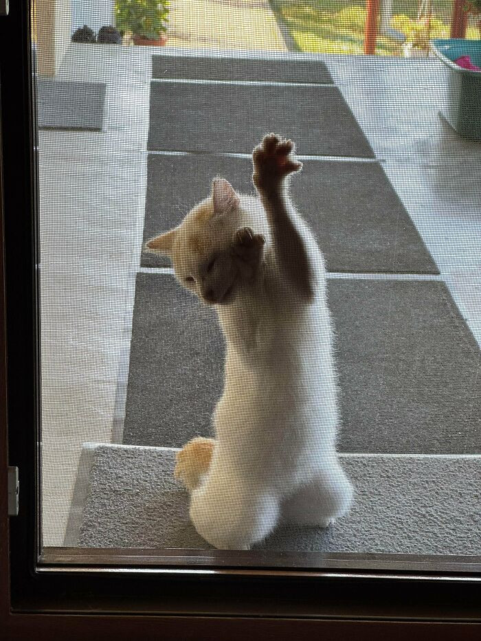 "I Guess He Likes Drama"