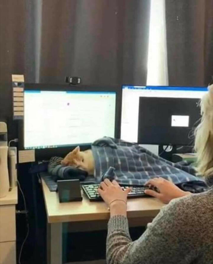 11. That's not going to put you in a working mood.