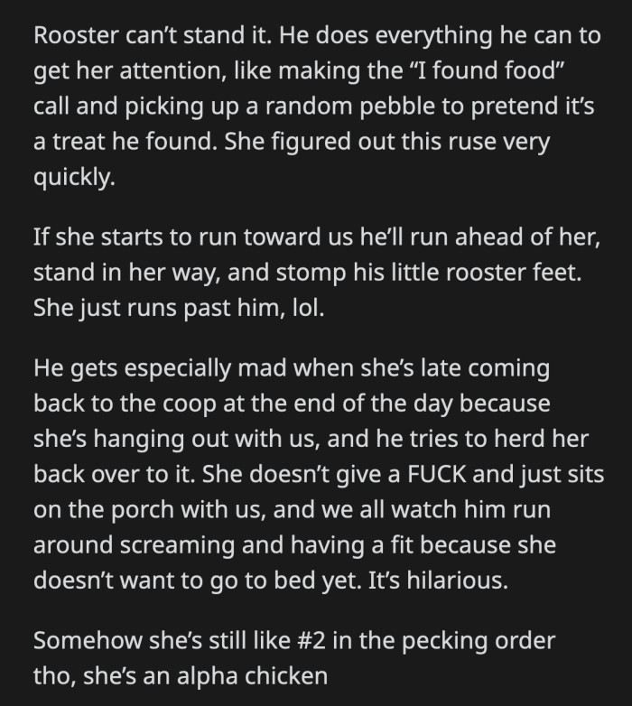 She is singlehandedly toppling their coop's patriarchal pecking order.