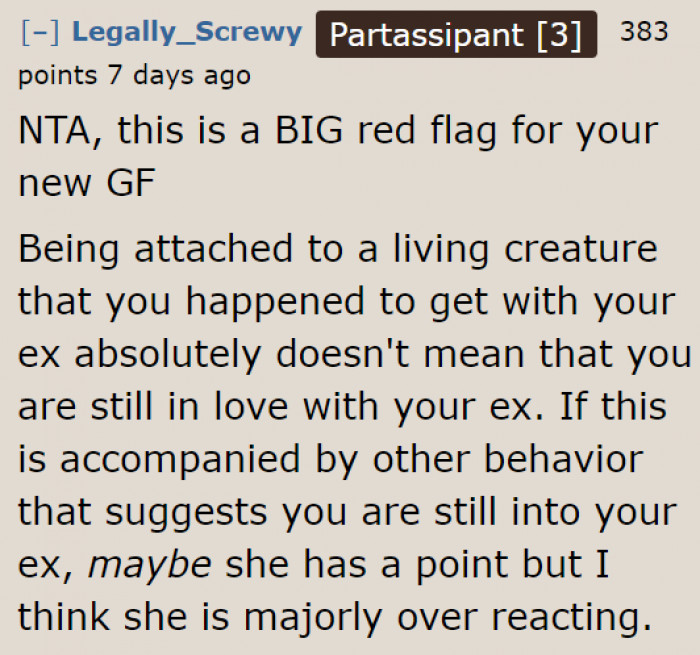 Loving the dog adopted with an ex doesn't equate to still loving the ex.