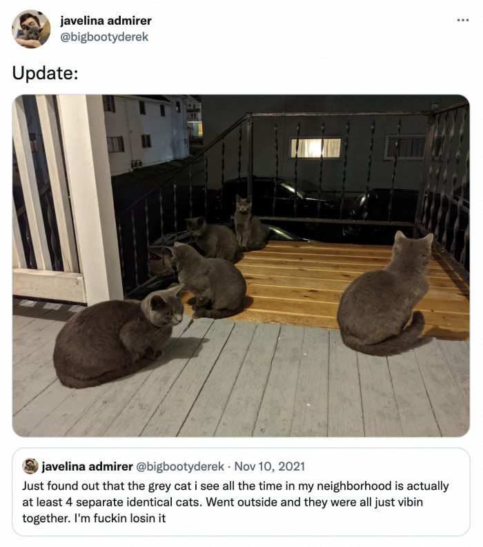 21. At least 4 is correct because there are 5 of those magical kittens