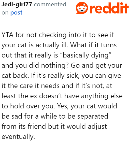 Some criticized the OP for not confirming if his cat is indeed sick.
