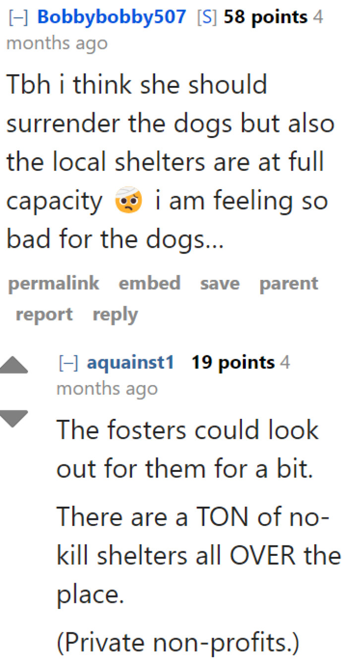 The next advisable step for this dog owner would be to consider seeking out no-kill shelters for their pets.