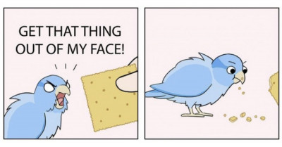 15 Funny Comics About What Goes Through The Minds Of Birds From The Hilarious Artist, "Chicken Thoughts"