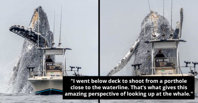 Viral Video Shows Overwhelming Moment When A Massive Humpback Whale Leapt Out Of The Water Right Next To A Fishing Boat