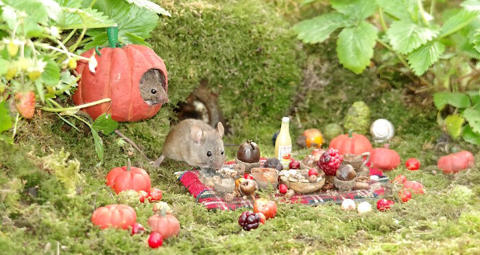 23. The Mice Are Having A Family Halloween Picnic