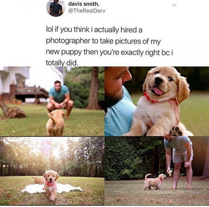 13. The price you're willing to pay to get the best shots of your fur child.