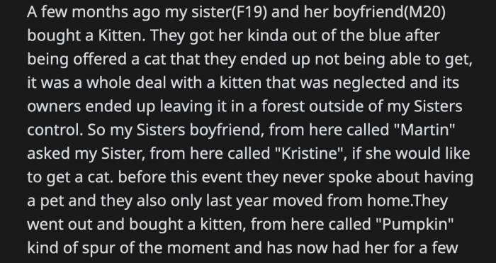 The couple even said that they will never get another cat after Pumpkin, and as soon as she is