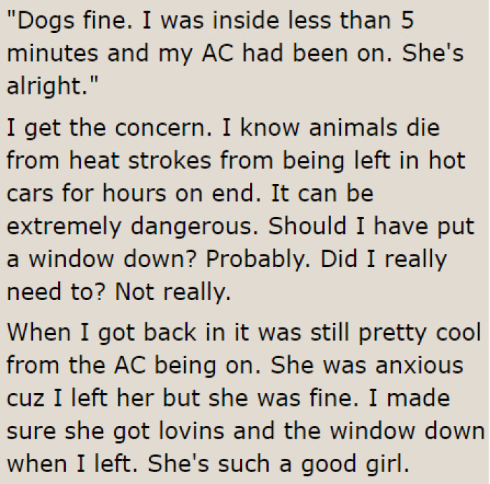 When a man saw the dog inside the car, he called the OP out for not putting the windows down.