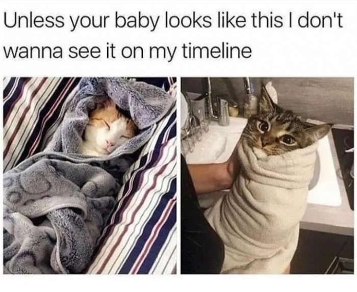 13. Hope you are getting my point?