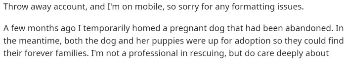 OP starts off by saying that they took in a pregnant dog that ended up having a litter of puppies.
