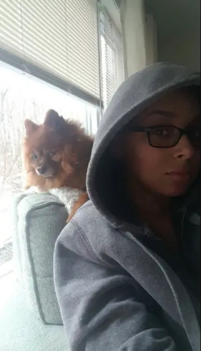 31. This little pup gets her hooman's vibe