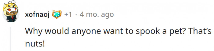 Maybe because he believes it would be fun?