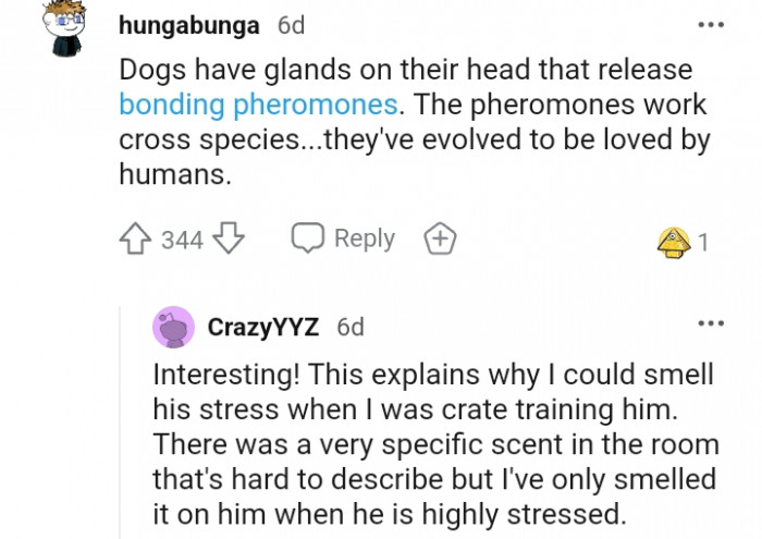 2. They've evolved to be loved by humans