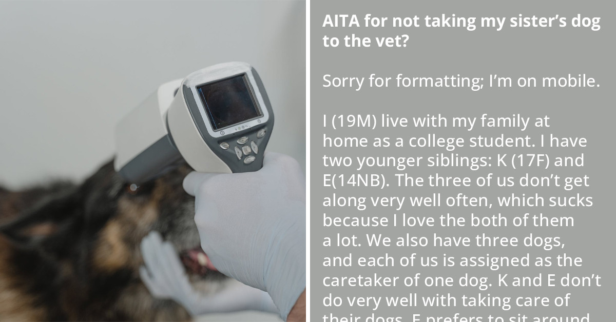 Parentified Eldest Sibling Is Tired Of Taking Care Of Three Family Dogs While His Siblings Sit Around And Yell At Him About Vet Appointments