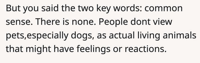 because dogs do have their own feelings and perspectives.