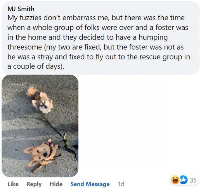 3. Hello, nice to mate you