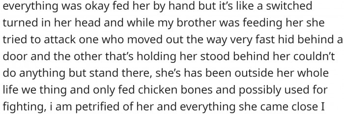 They went to pick it up and witnessed some pretty aggressive behavior.