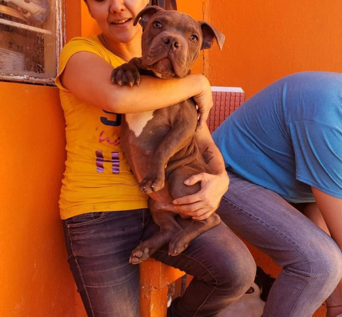 The shelter wishes that more people would actually adopt animals, even if they don't go viral online. Millions of animals are experiencing neglect and abuse in the world, and all of them truly deserve to have a happy and loving family to care for them.