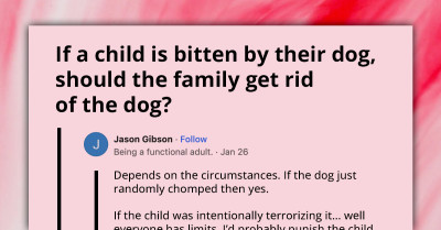Online Community Divided Over Family's Dilemma - Keep Or Rehome Dog After Biting Child