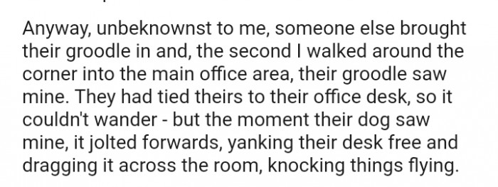 The moment their dog saw mine