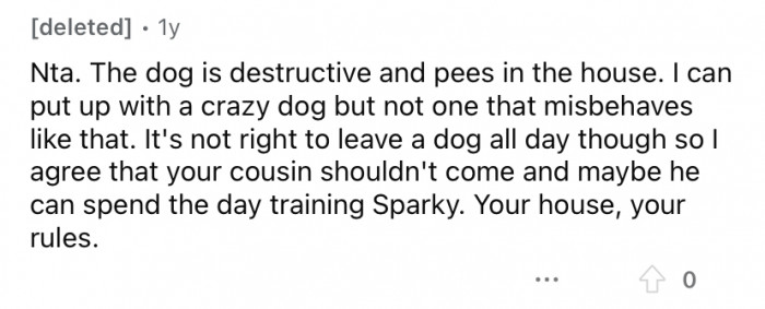 "Maybe he can spend the day training Sparky."