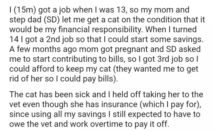 My mom and stepdad let me get a cat