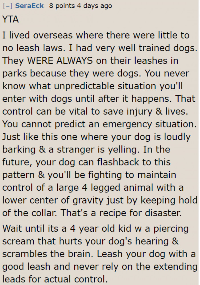 The Dog May Be Well-Behaved, but It Cannot Control Its Surroundings.