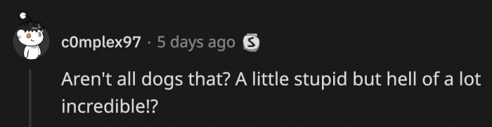 Generally speaking, dogs are a good combination of both.