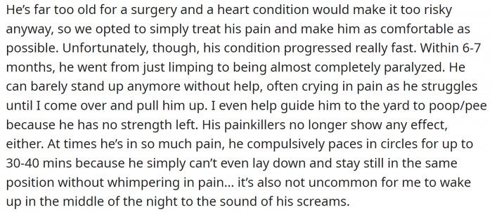 The dog is in constant pain, and there is no way to help him. The medications are no longer effective, and his age makes surgery too risky.