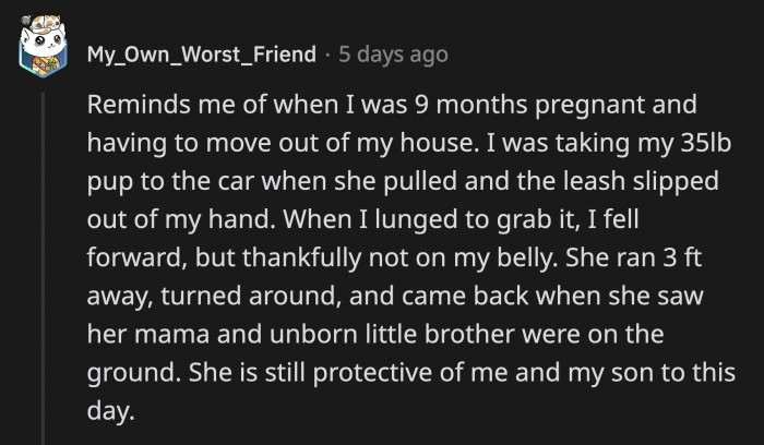 Dogs can be unaware of their power once their instincts kick in, but they do more than make up for it.