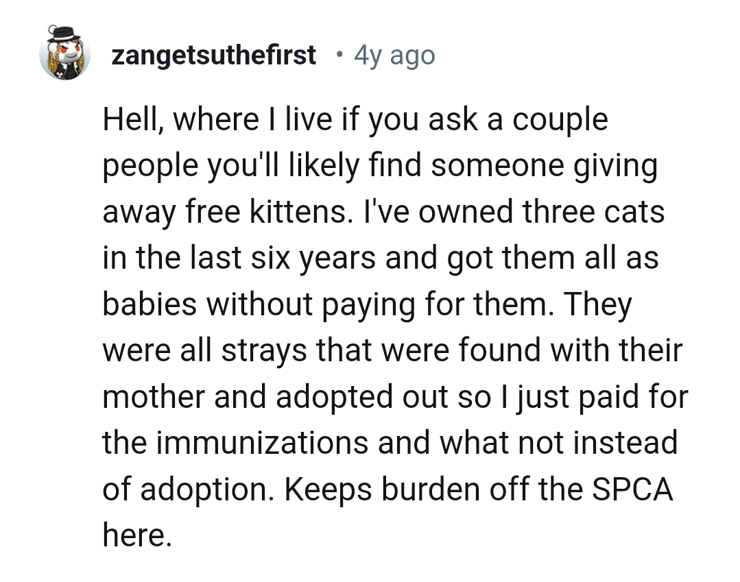 12. You'll likely see someone giving away free kittens
