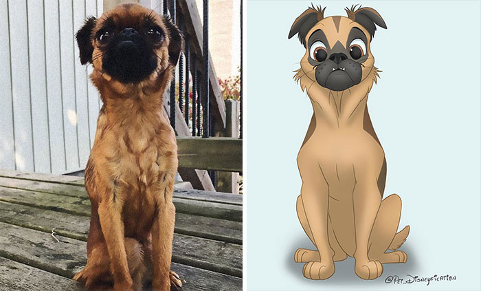 Netherlands Artist 'Disneyfies' Pets and the Results Are Magical