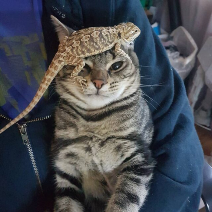 The things you do for friendship