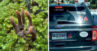 Prepare Yourself For This Unimaginable Level Of Weirdness And The 23 Following Photos