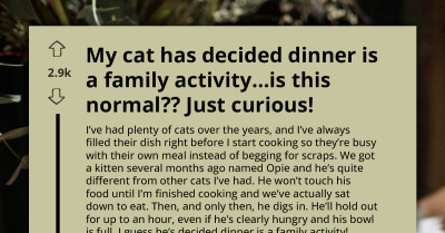 Kitten’s Adorable Dinner Habit Means He Waits For The Entire Family To Sit Down At The Table Before Eating