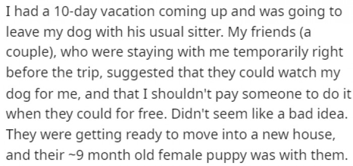 His friends offered to take care of his dog while he was away, and OP thought it was a great idea.