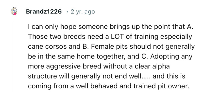 Adopting that many aggressive breeds without a clear alpha structure could be dangerous