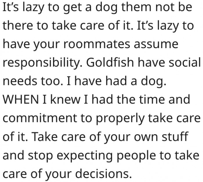 11. You shouldn't get a dog and hope for others to care for it on your behalf.