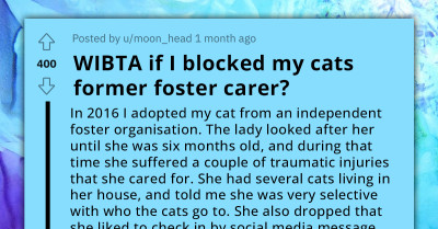 Redditor Considers Blocking Their Cat’s Former Foster Carer Over Constant Check-In Messages, Years After Adopting The Kitty