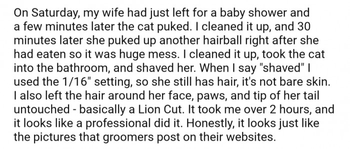 One day, after back to back hairballs, OP took matters into his own hands while his wife was away and shaved the cat
