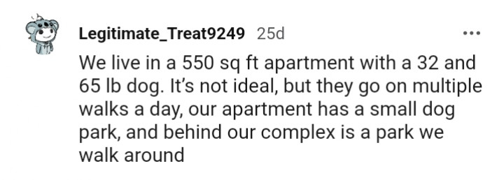 They go on multiple walks a day