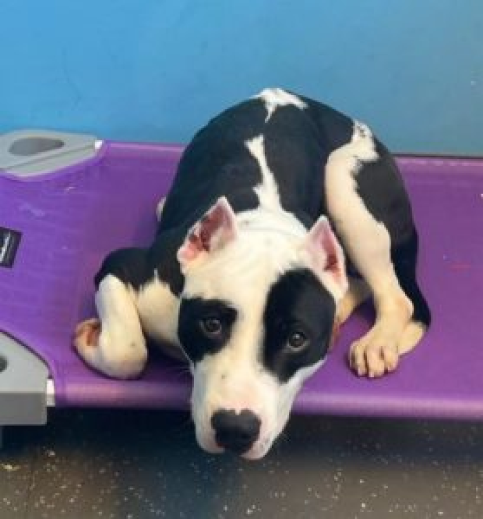 He was frightened and shy