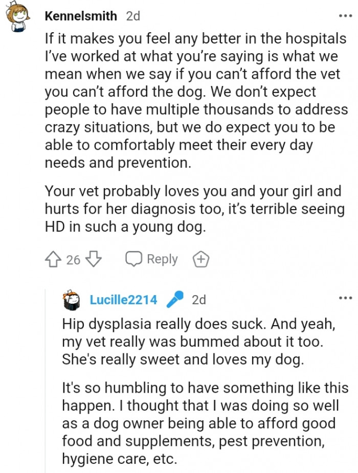 7. It's terrible for dogs to have HD